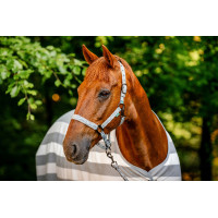Licol et longe Horseware Newmarket Charbon de bois witney Gris
