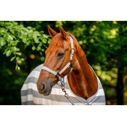 Licol et longe Horseware Newmarket Charbon de bois witney Gris Licol et longe Horseware Newmarket Charbon de bois witney Gris