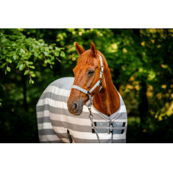 Licol et longe Horseware Newmarket Charbon de bois witney Gris Licol et longe Horseware Newmarket Charbon de bois witney Gris