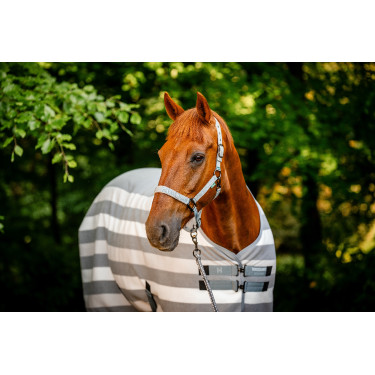 Licol et longe Horseware Newmarket Charbon de bois witney Gris Licol et longe Horseware Newmarket Charbon de bois witney Gris