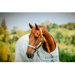 Licol et longe Horseware Newmarket Charbon de bois witney Gris Licol et longe Horseware Newmarket Charbon de bois witney Gris