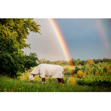 Masques anti-mouches Horseware Newmarket Charbon de bois witney Gris