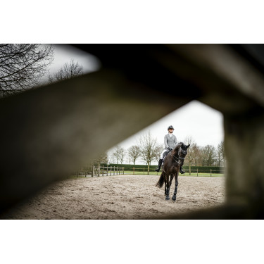 Pantalon Horseware AA Aria taille mi haute full seat Pantalon Horseware AA Aria taille mi haute full seat