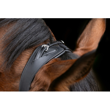 Bridon anatomic Covalliero Bridon anatomic Covalliero