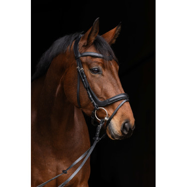 Bridon anatomic Covalliero Bridon anatomic Covalliero