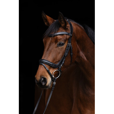 Bridon anatomic Covalliero Bridon anatomic Covalliero