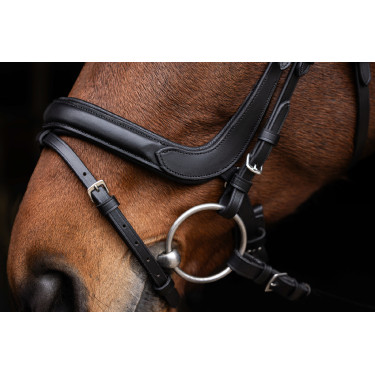 Bridon anatomic Covalliero Bridon anatomic Covalliero