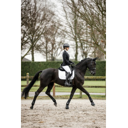 Veste de concours Horseware AA Platinium Motion Flex Pro Noir Veste de concours Horseware AA Platinium Motion Flex Pro Noir