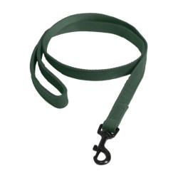 Laisse Kentucky pour chien Lézard Vert olive Laisse Kentucky pour chien Lézard Vert olive