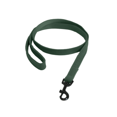 Laisse Kentucky pour chien Lézard Laisse Kentucky pour chien Lézard