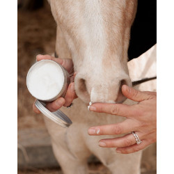 Sunblock Grooming Deluxe by Kentucky