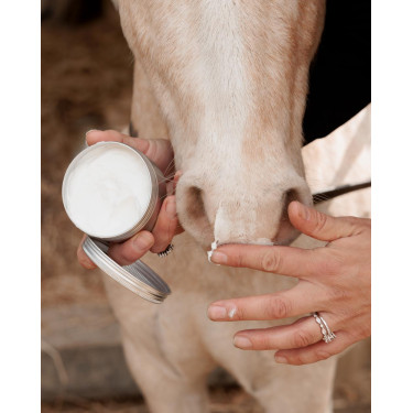 Sunblock Grooming Deluxe by Kentucky Sunblock Grooming Deluxe by Kentucky
