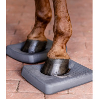 Semelles Waldhausen Health + Care Balance Gris Semelles Waldhausen Health + Care Balance Gris