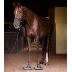 Semelles Waldhausen Health + Care Balance Gris