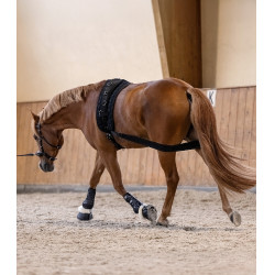 Bandage corporel Waldhausen arrière-main Noir Bandage corporel Waldhausen arrière-main Noir