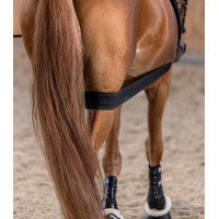 Bandage corporel Waldhausen arrière-main Noir Bandage corporel Waldhausen arrière-main Noir