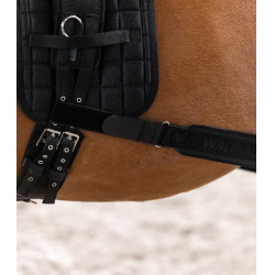 Bandage corporel Waldhausen arrière-main Noir Bandage corporel Waldhausen arrière-main Noir