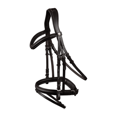 Bridon Waldhausen X-Line Stockholm muserolle combinée pull back