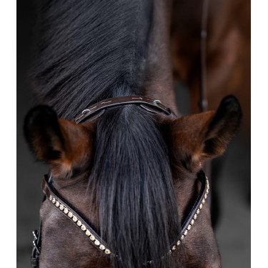 Bridon Waldhausen X-Line Relaxation muserolle anatomique Marron