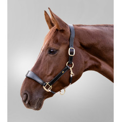 Licol en cuir Waldhausen S-Line Royal Noir