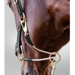 Licol en cuir Waldhausen S-Line Royal Noir