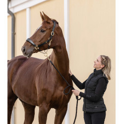 Licol en cuir Waldhausen S-Line Royal Noir