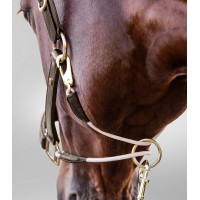 Licol en cuir Waldhausen S-Line Royal Marron