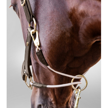 Licol en cuir Waldhausen S-Line Royal Marron