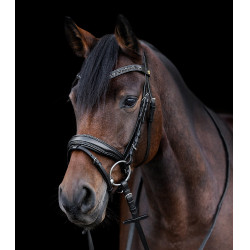 Bridon verni Waldhausen S-Line Blackshine muserolle combinée pull back Noir