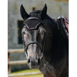 Bonnet GEM Mesh court Noir / bleu blanc rouge