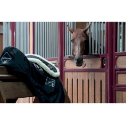 Sangle de dressage Web LeMieux Merino Noir Sangle de dressage Web LeMieux Merino Noir