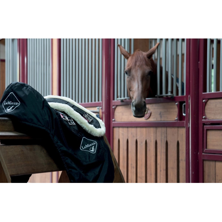 Sangle de dressage Web LeMieux Sangle de dressage Web LeMieux