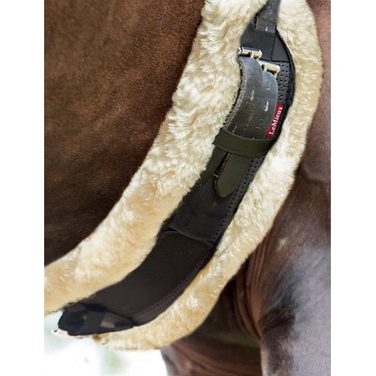 Sangle de dressage Web LeMieux Sangle de dressage Web LeMieux