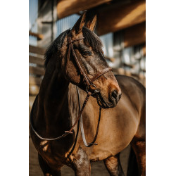 Bridon Norton Hunter comfy