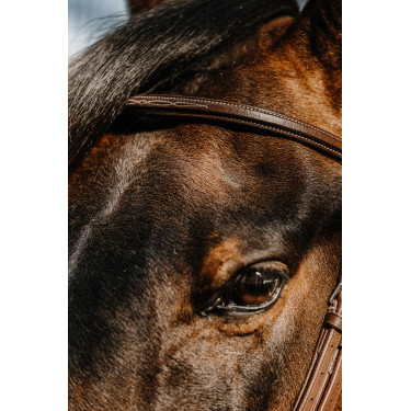 Bridon Norton Hunter comfy Bridon Norton Hunter comfy