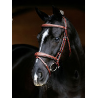 Bridon combiné LeMieux Competition Chestnut Marron Bridon combiné LeMieux Competition Chestnut Marron