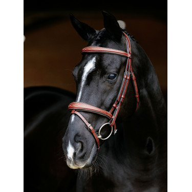 Bridon combiné LeMieux Competition Chestnut Marron Bridon combiné LeMieux Competition Chestnut Marron