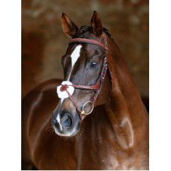 Bridon LeMieux Grackle Chestnut Marron