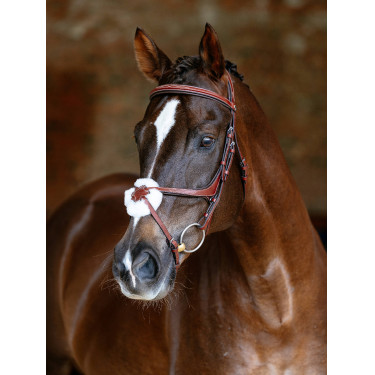 Bridon LeMieux Grackle Chestnut Marron
