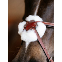 Bridon LeMieux Grackle Havane Marron