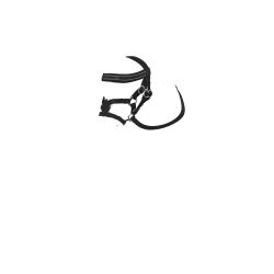 Bridon à muserolle croisée LeMieux Toy Pony Noir Bridon à muserolle croisée LeMieux Toy Pony Noir