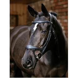 Bridon de muserolle fendu Arika LeMieux Noir