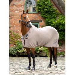 Chemise séchante en bambou Kudos LeMieux Pecan Beige Chemise séchante en bambou Kudos LeMieux Pecan Beige