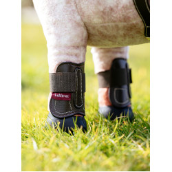 Guêtres Capella LeMieux Toy Pony Marron