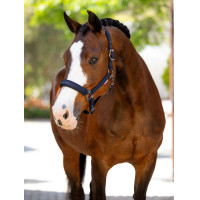 Licol LeMieux Essence Marine Licol LeMieux Essence Marine