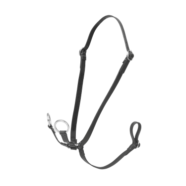 Martingale à anneaux Hobby Horse LeMieux