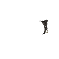 Selle de CSO avec sangle bavette LeMieux Toy Pony Noir Selle de CSO avec sangle bavette LeMieux Toy Pony Noir