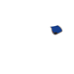 Tapis de CSO LeMieux Toy Pony Benetton Bleu