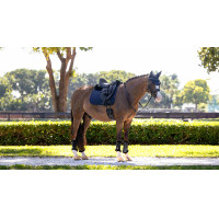 Tapis de dressage LeMieux Essence Square Marine