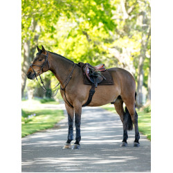 Tapis de selle Pillow LeMieux Marron Tapis de selle Pillow LeMieux Marron